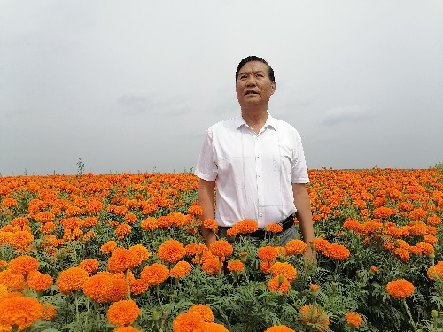 无标题.jpg